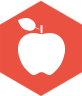 Apple icon