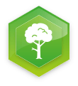 Tree icon