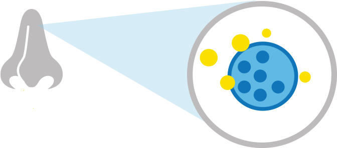 Allergy causes icon