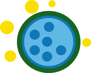 Allergy causes icon