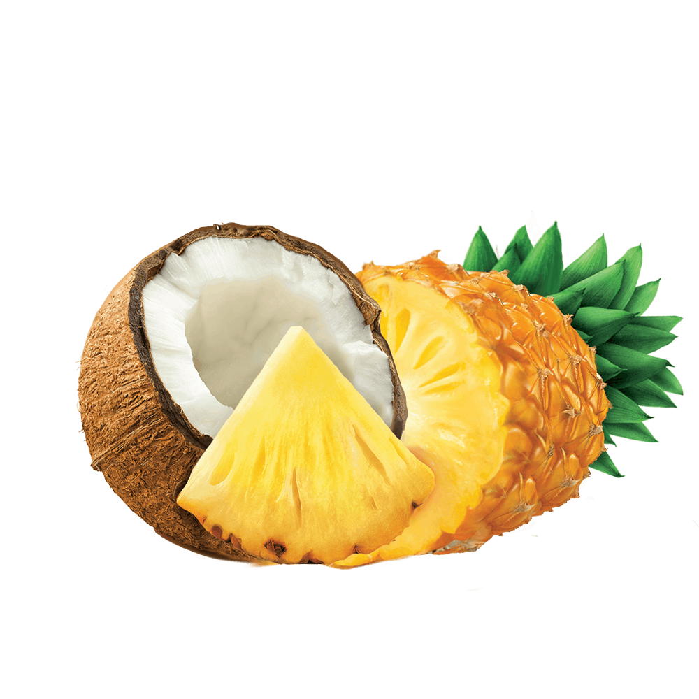 TUMS Assorted Tropical Fruit Logo TUMS Assorted Tropical Fruit Logo