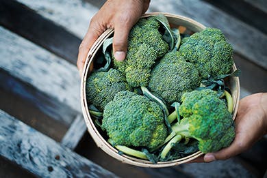 Broccoli Broccoli