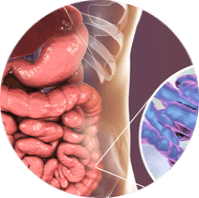 Here’s The Difference Between Prebiotics and Probiotics