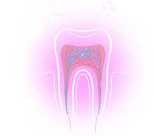 maux-de-dent-1 maux-de-dent-1