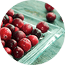 Cranberries Cranberries
