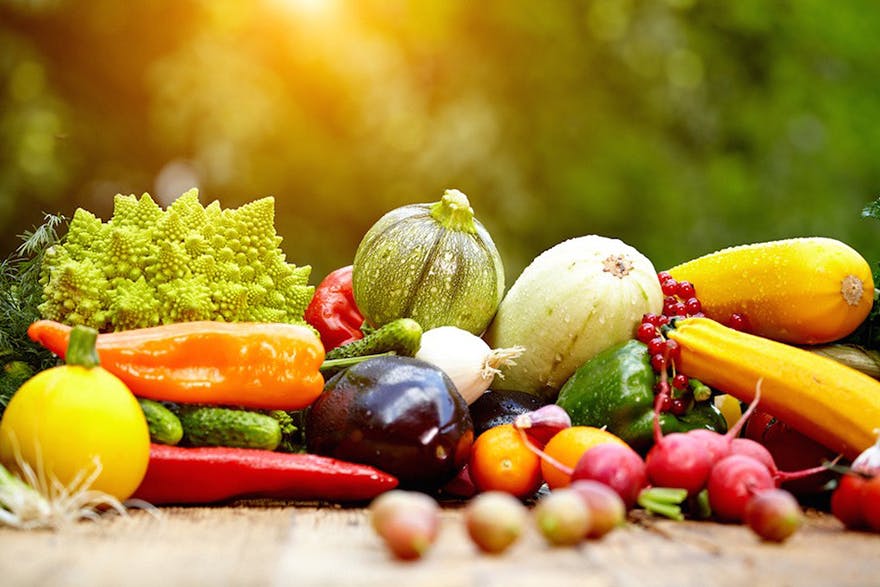 dietary-recommendation dietary-recommendation