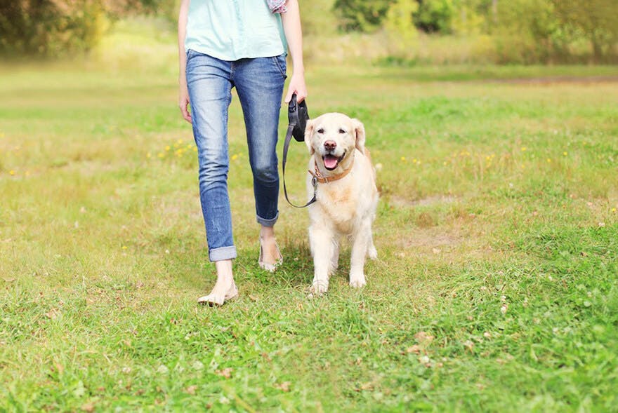 summer-walk summer-walk