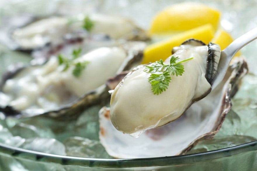 Fresh_oyster Fresh_oyster