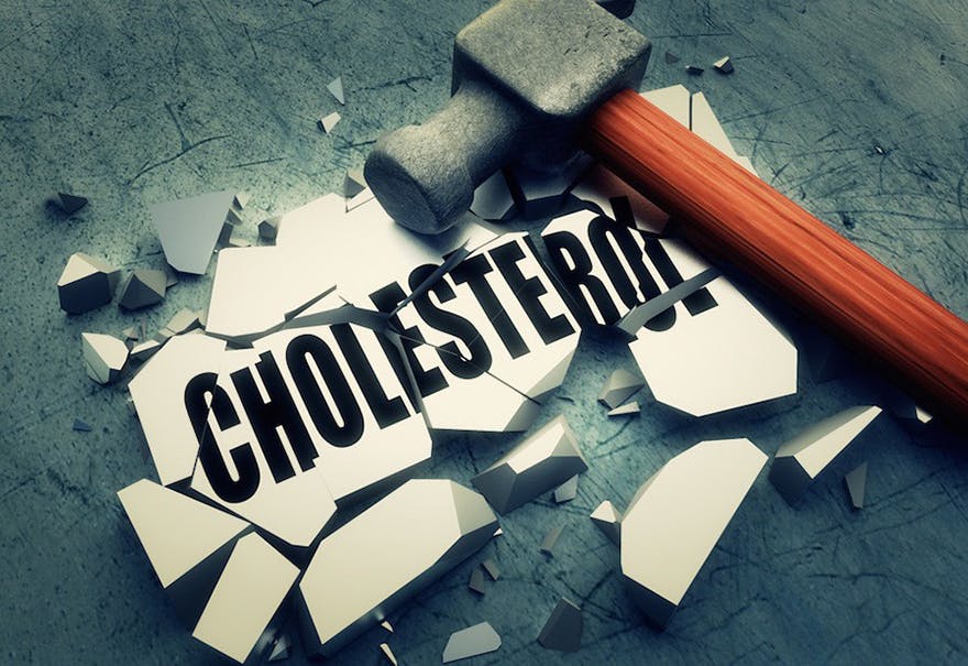 facts-about-cholesterol facts-about-cholesterol