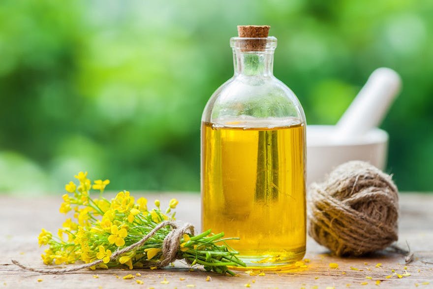 plant-sterols-reduce-cholesterol plant-sterols-reduce-cholesterol
