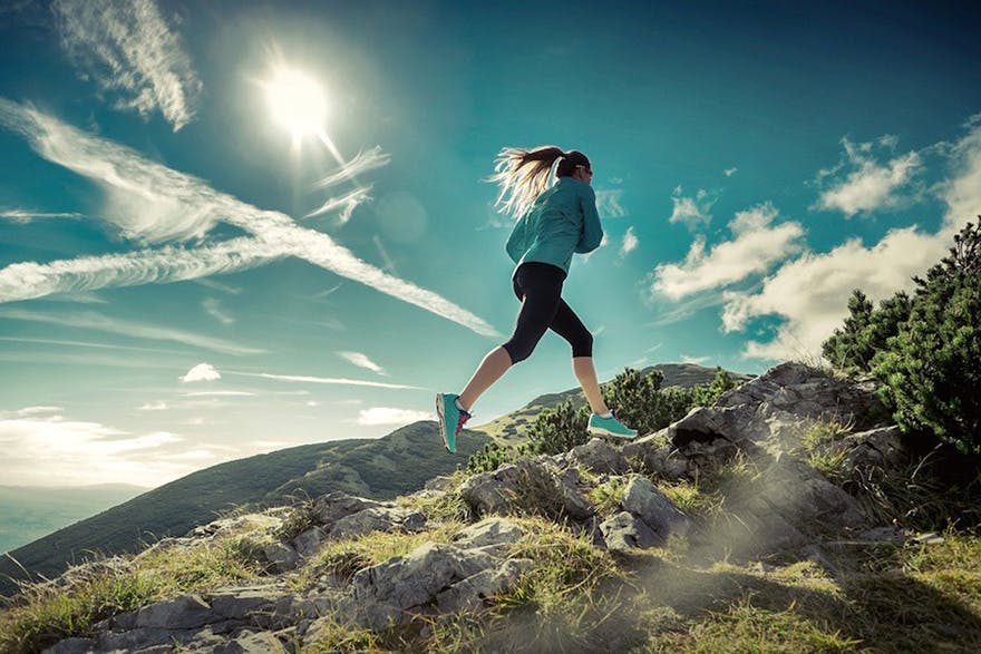 exercise-on-the-wild-side exercise-on-the-wild-side