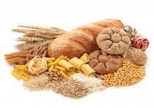 Bread Bread