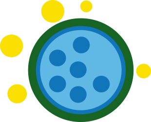 5_content.png 5_content.png