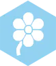 Flower icon