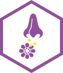 breathing in allergens like pollen, pet dander, dust, and mold breathing in allergens like pollen, pet dander, dust, and mold
