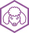 dog allergy icon