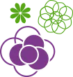 Pollen icon