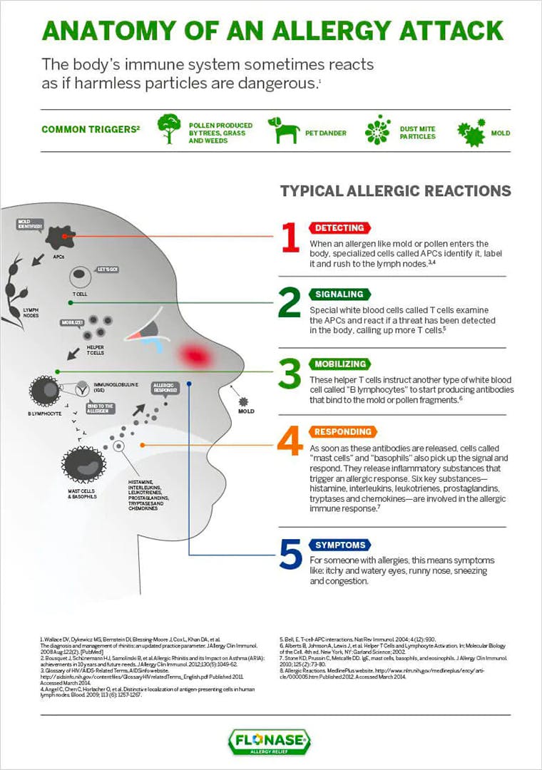 Anatomy of an Allergy Attack FLONASE