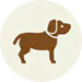 dog dander dog dander