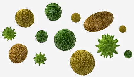 Hay fever molecules Hay fever molecules