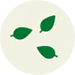 leaf mold leaf mold