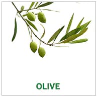 olive olive