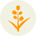 ragweed ragweed