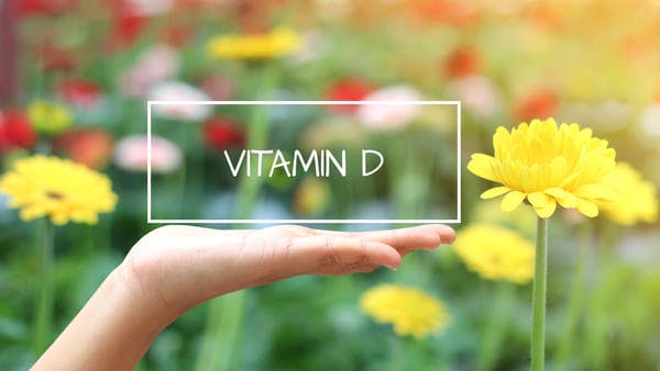 Hand lifting a rectangle that says ‘vitamin d’ in a field of yellow flowers Hand lifting a rectangle that says ‘vitamin d’ in a field of yellow flowers