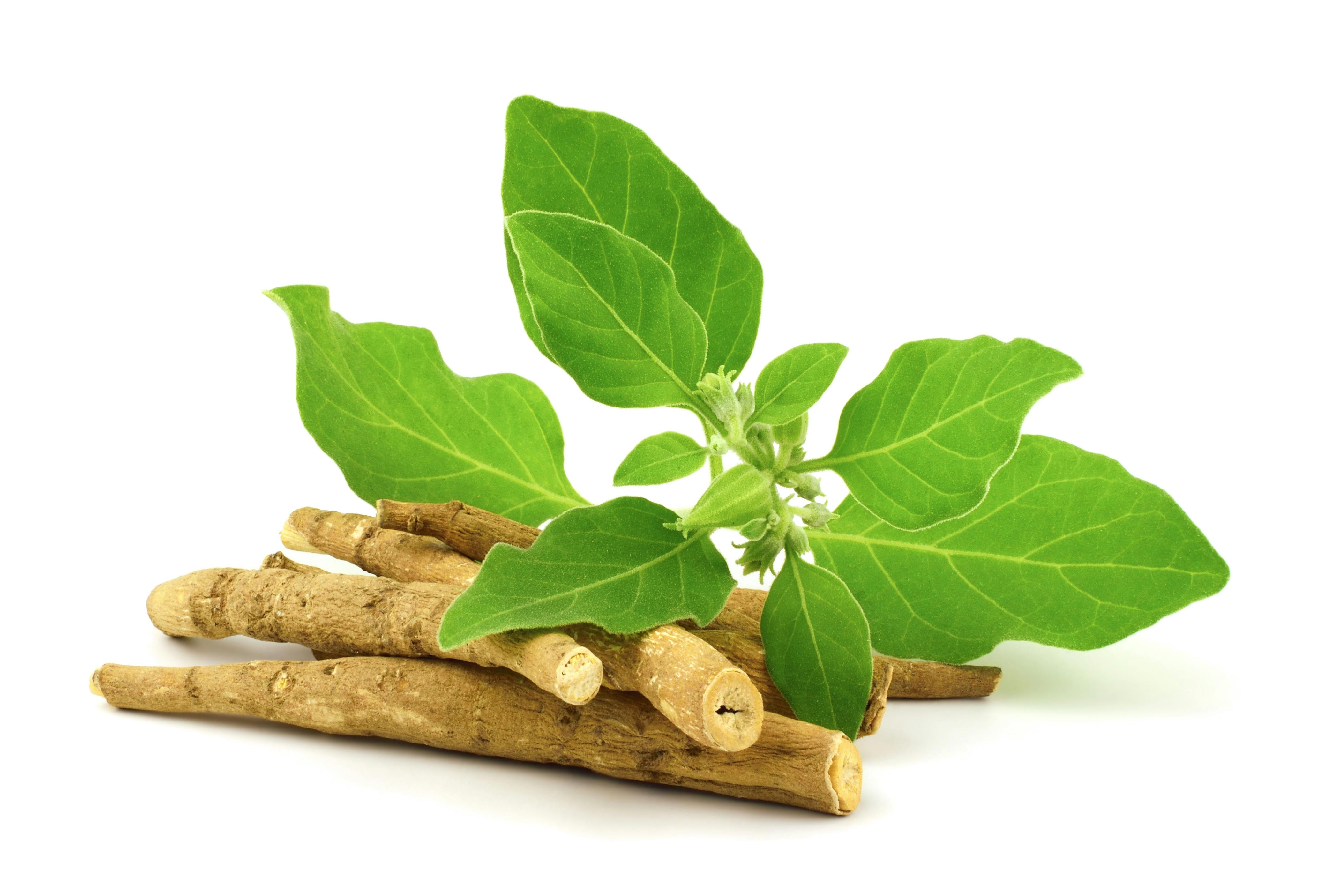 What is Ashwagandha and How is it Used? | Centrum