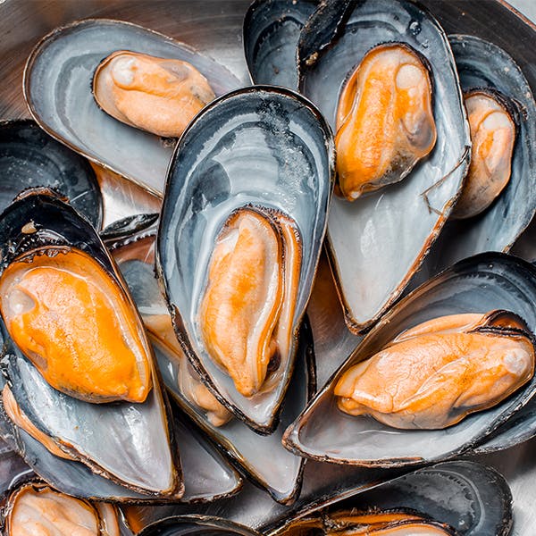 mussels image mussels image