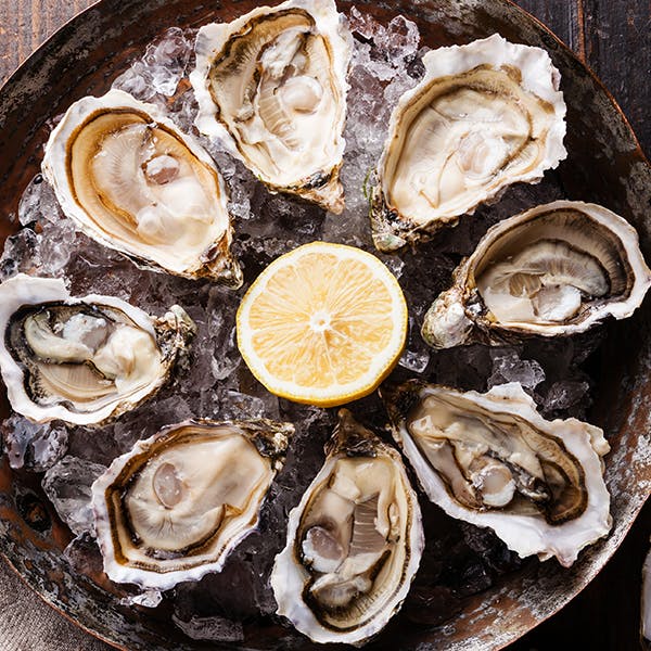 oysters Image oysters Image