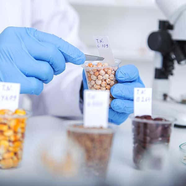 Persona en el laboratorio midiendo cantidades de ingredientes Persona en el laboratorio midiendo cantidades de ingredientes