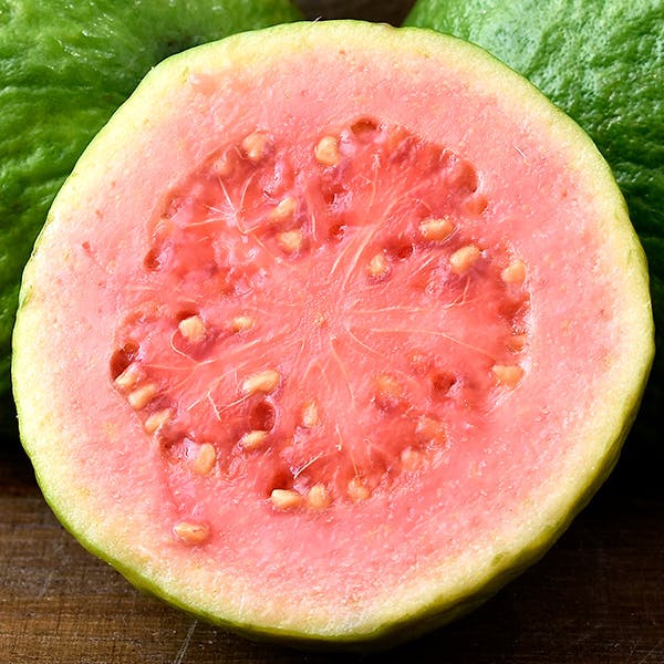 guava image guava image