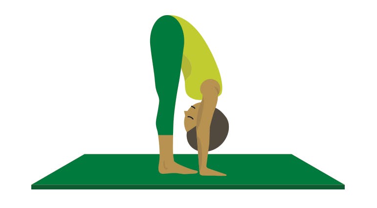 Forward Fold Yoga Pose Illustration Forward Fold Yoga Pose Illustration