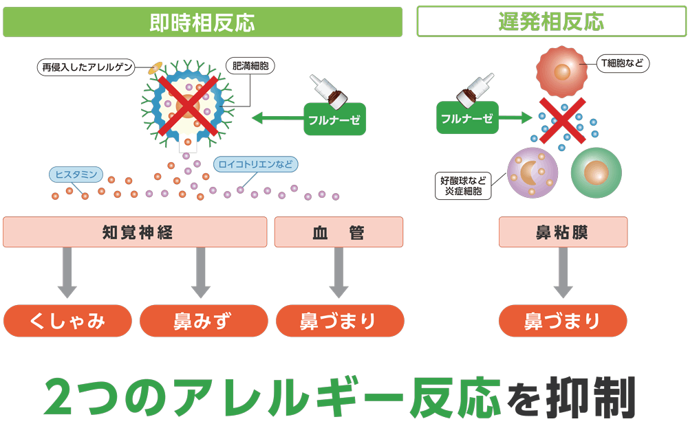 フルナーゼ点鼻薬は フルナーゼ点鼻薬は