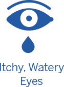 Itch, Watery Eyes Icon
