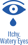 Itch, Watery Eyes Icon