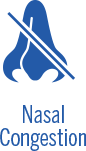 Nasal Congestion Icon