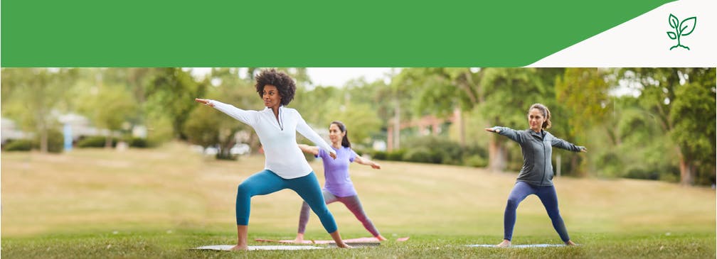 Women doing yoga in the park in the spring
