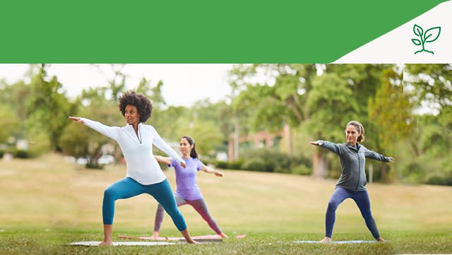 Women doing yoga in the park in the spring