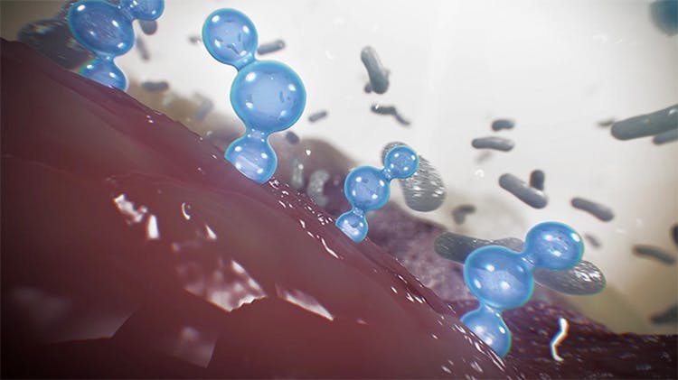 Chlorhexidindigluconat – Wirkung