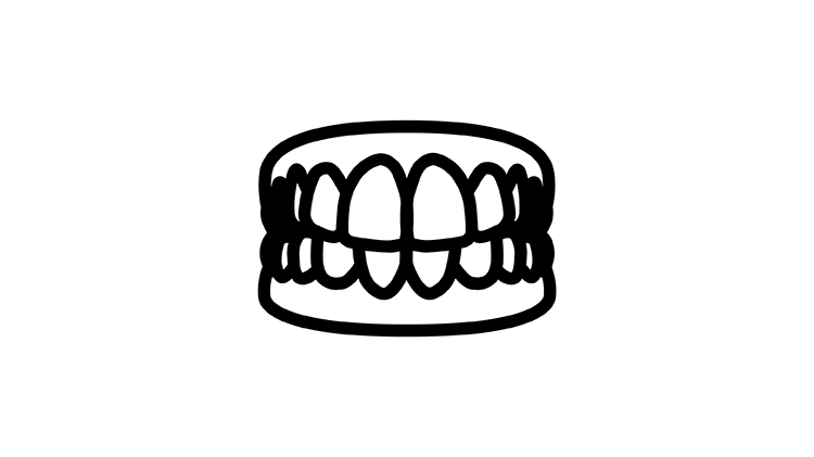 Prothese Icon