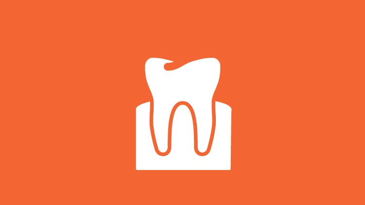 Tooth and gum icon