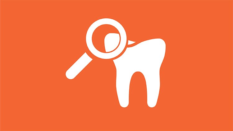 Tooth with magnifying glass icon