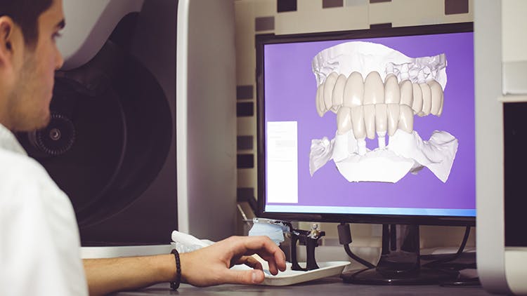 912885458 Oral anatomy