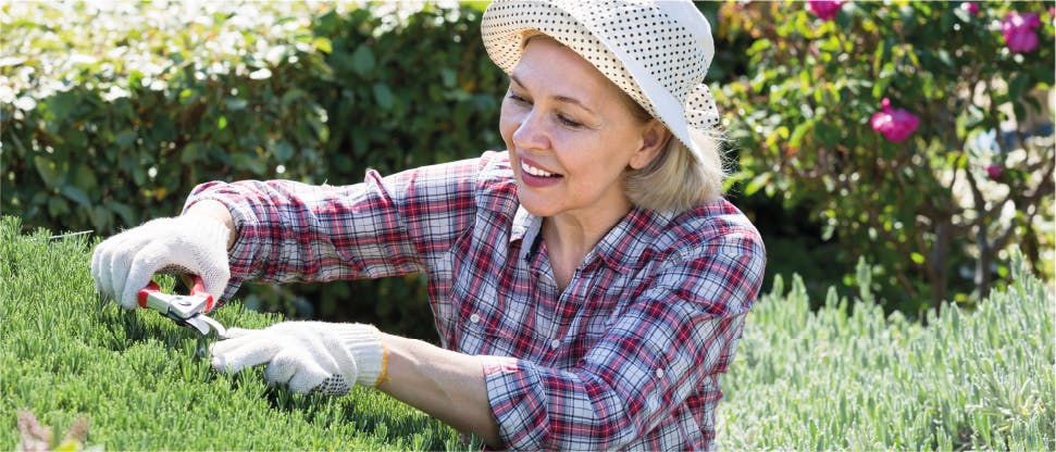 Voltarol_220_Health_Portal_970x415 2 Lady gardening