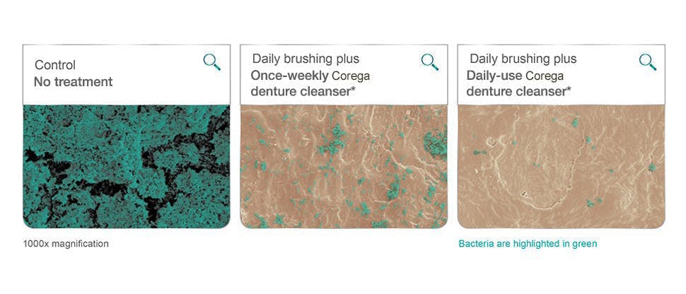 corega denture cleaner science gsk