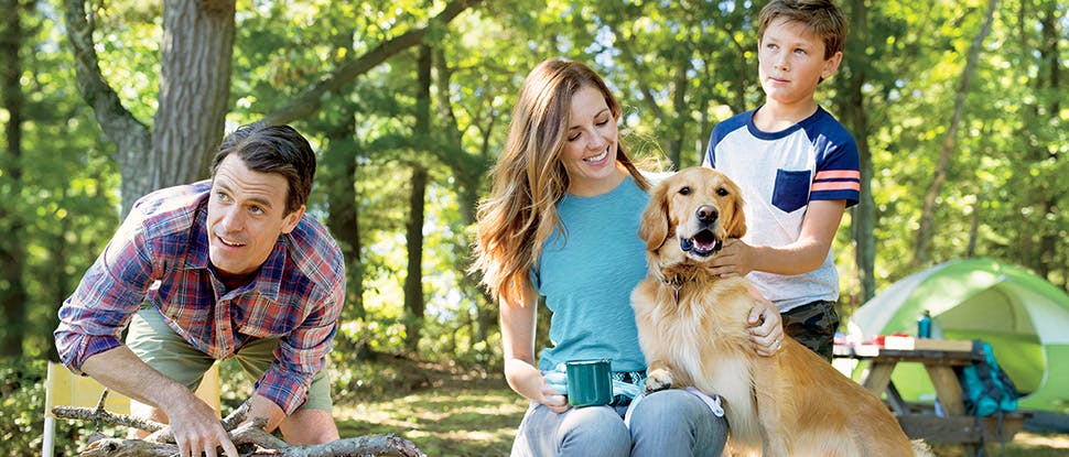 Family camping