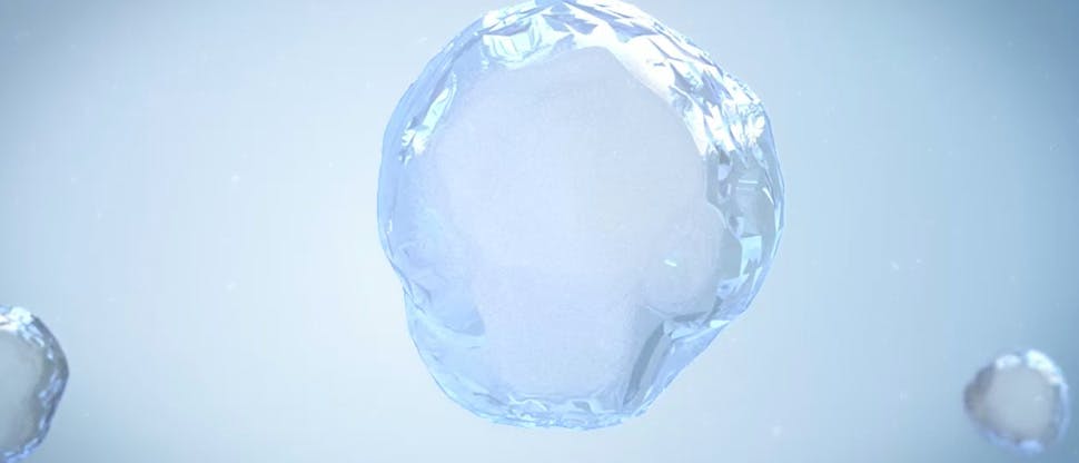 Sodium bicarbonate action science