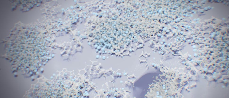 Sensodyne Repair & Protect forms an occlusive layer over exposed dentin